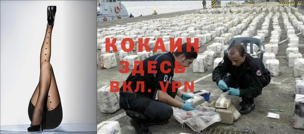 тгк Няндома