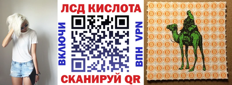 ссылка на мегу вход  закладки  Дивногорск  Марки NBOMe 1500мкг 